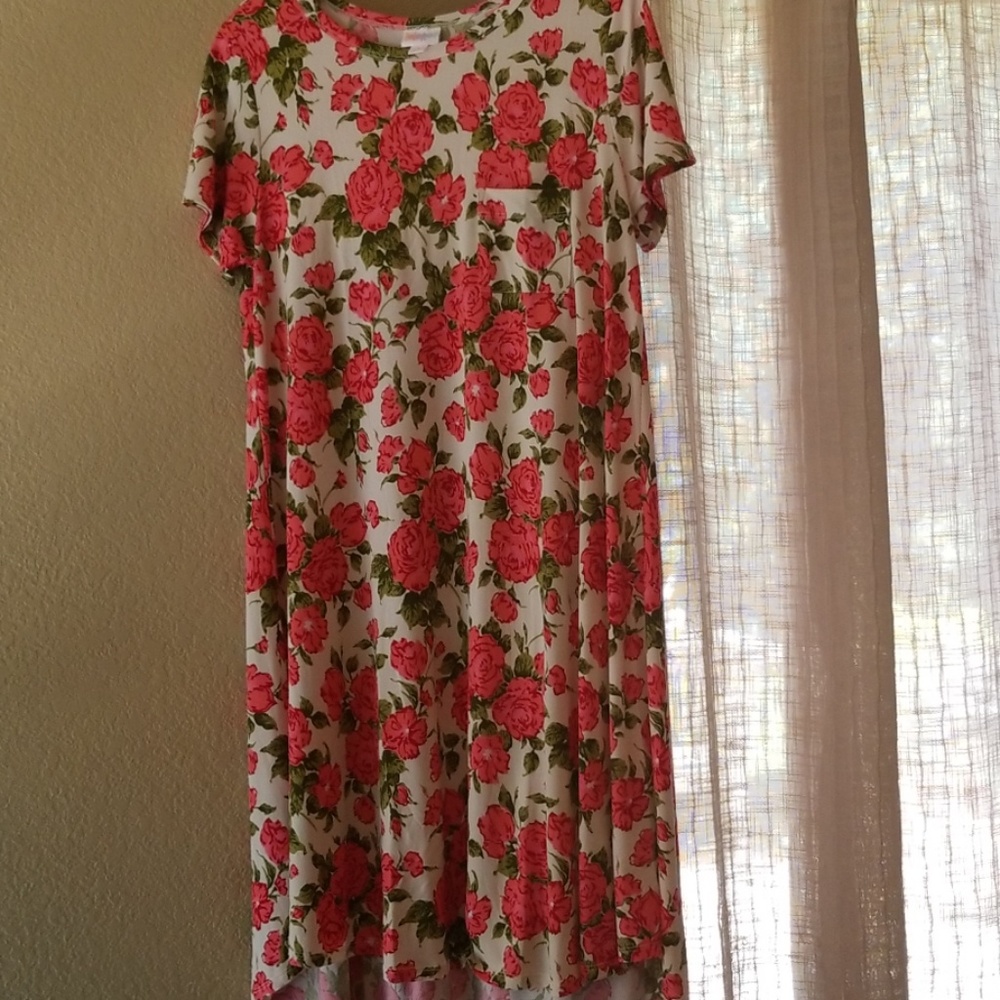 Unicorn! Lularoe Small Carly